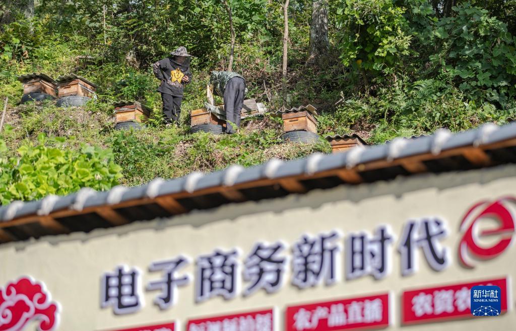 缅甸百胜帝宝
